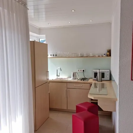 Guest house Rebstock 3*