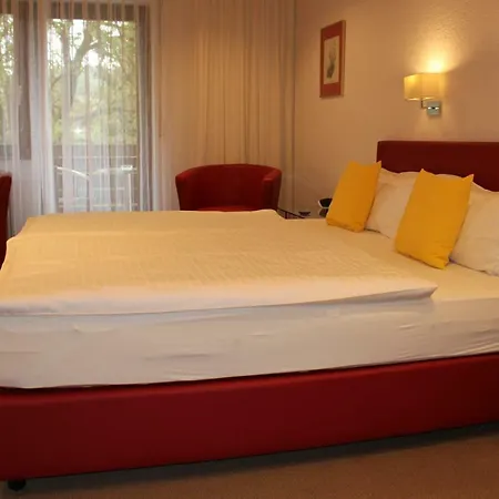 Rebstock 3* Ohlsbach