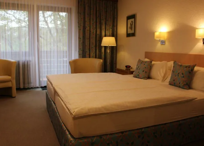 Rebstock 3* Ohlsbach