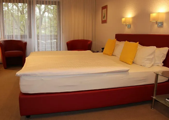 Rebstock 3* Ohlsbach